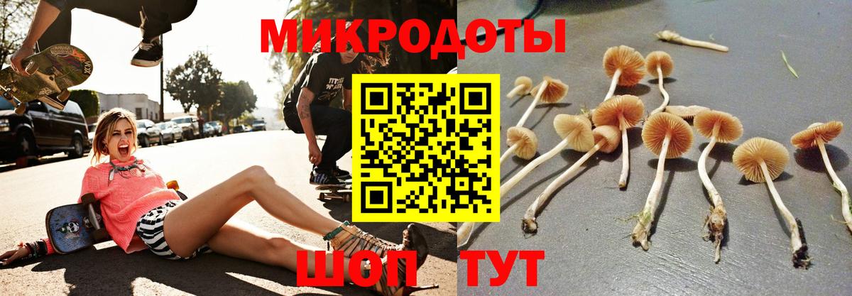 Псилоцибиновые грибы ЛСД Соль-Илецк