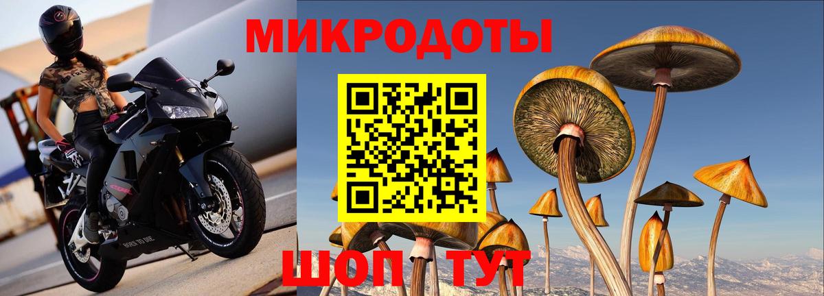 Псилоцибиновые грибы Cubensis  Вход с VPN  Соль-Илецк 